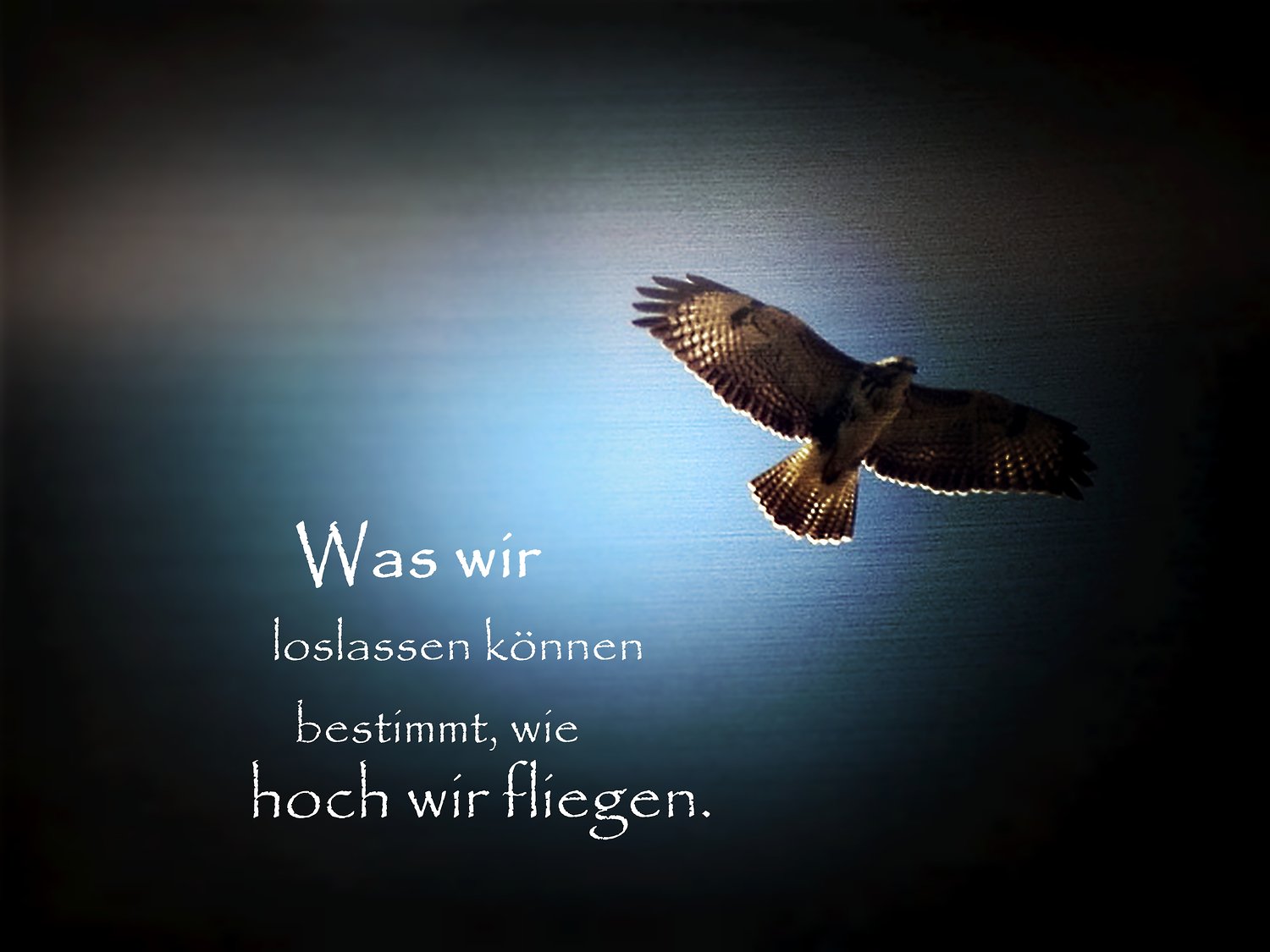 Profil <em>Lightning</em> Sprüche und oder Weisheiten, spin.de